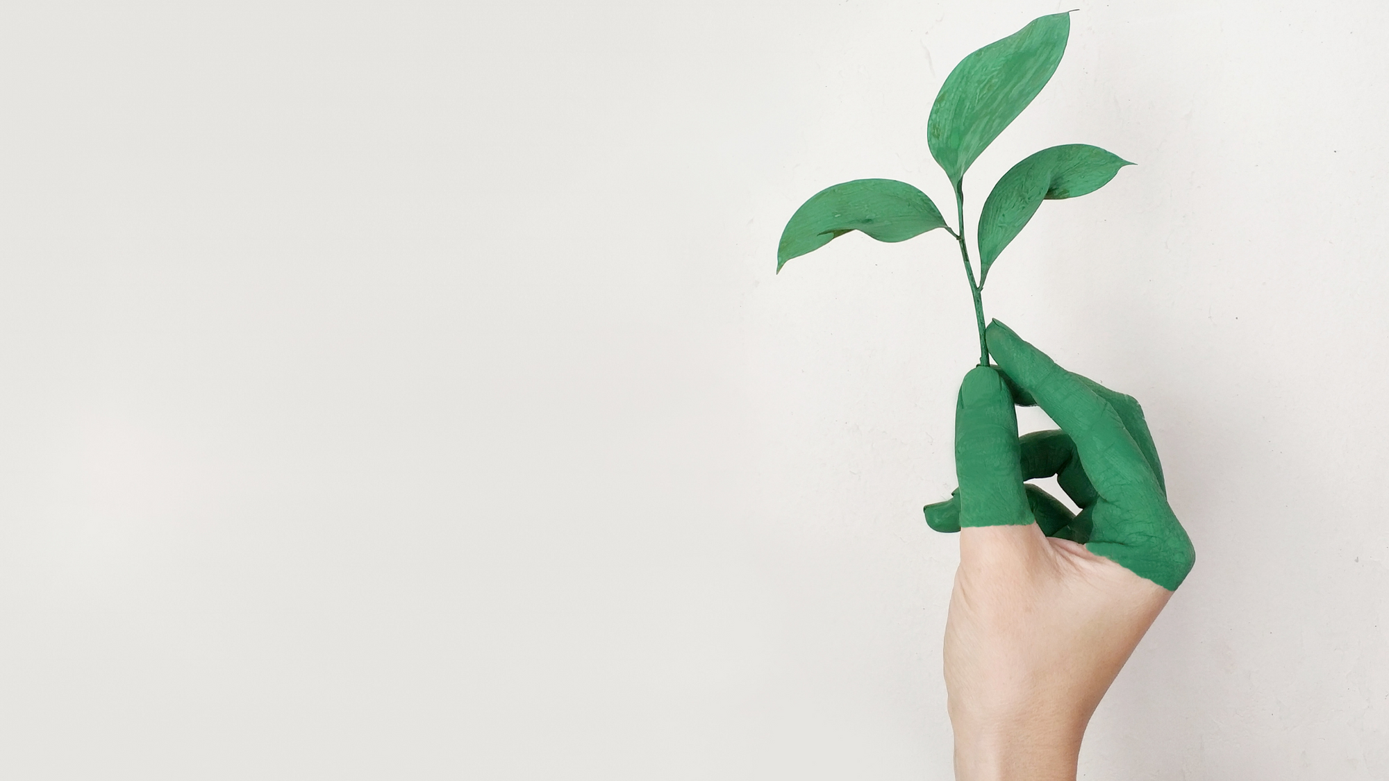 Secador de manos ecológico